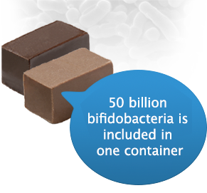 Anti Obesity Bifidobacteria “B-3“