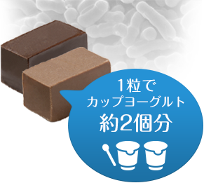 森永乳業研究・開発「ダイエットビフィズス菌B-3」