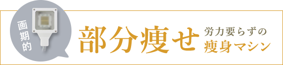 部分痩せ 労力いらずの画期的痩身マシン