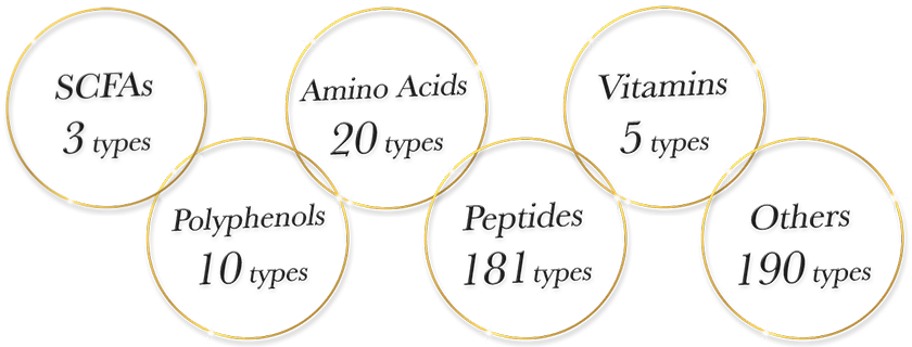 SCFA 3 types, Polyphenols 10 types, Amino Acids 20 types, Peptides 181 types, Vitamins 5 types, Others 190 types