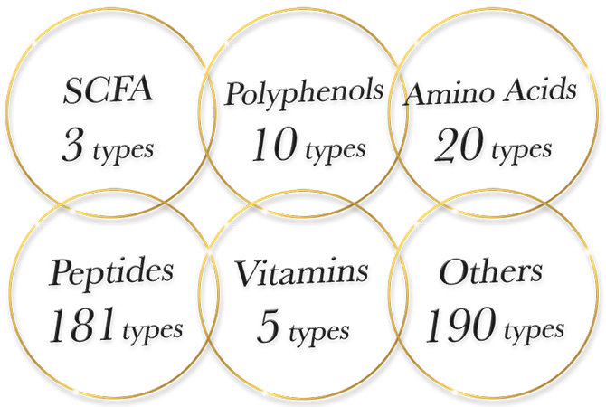 SCFA 3 types, Polyphenols 10 types, Amino Acids 20 types, Peptides 181 types, Vitamins 5 types, Others 190 types