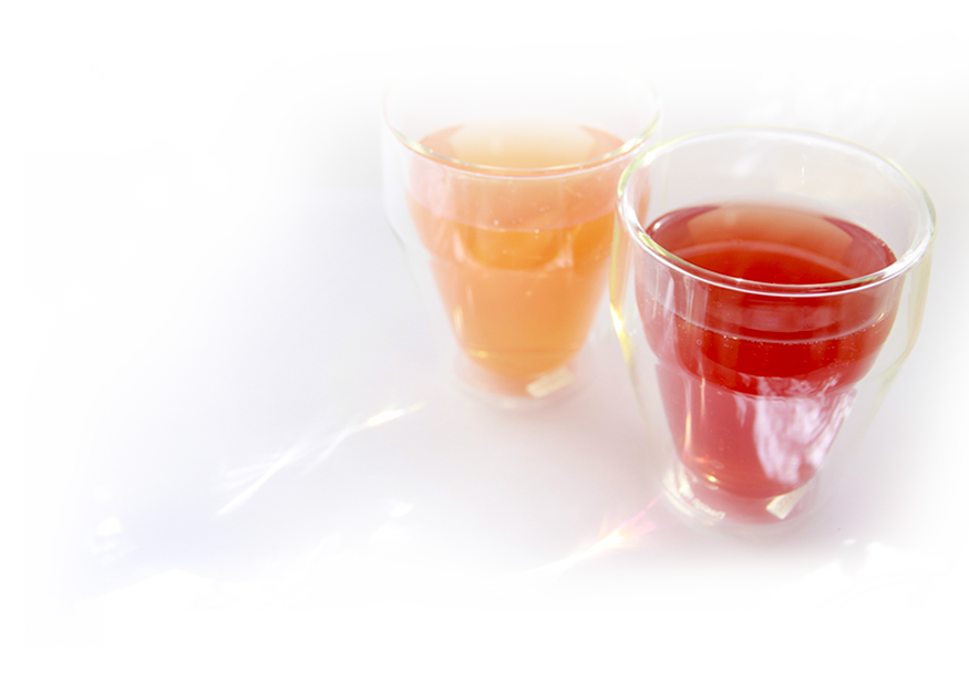 魔法のTANSA 短鎖脂肪酸配合ドリンク