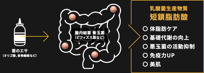 乳酸菌生産物質短鎖脂肪酸 体脂肪ケア、基礎代謝の向上、悪玉菌の活動抑制、免疫力UP、美肌