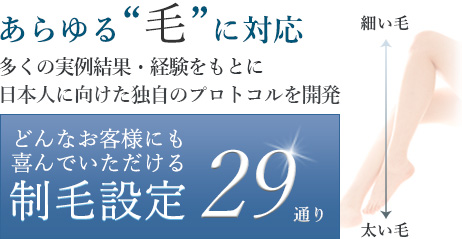 制毛メニュー29通り