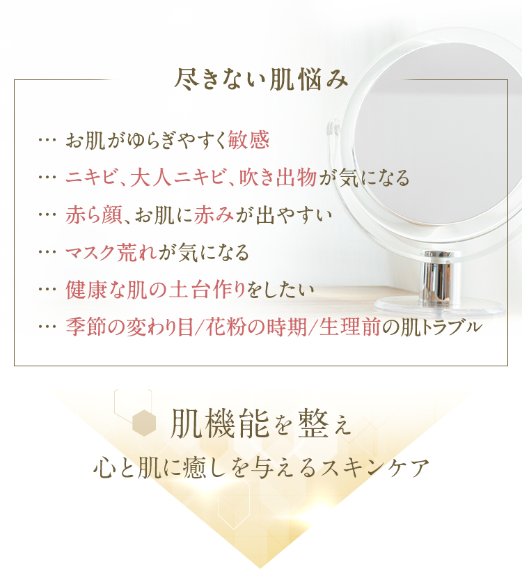 《尽きない大人の肌悩みに》お肌がゆらぎやすく敏感/ニキビ、大人ニキビ、吹き出物が気になる/赤ら顔、お肌に赤みが出やすい/マスク荒れが気になる/健康な肌の土台作りをしたい/季節の変わり目/花粉の時期/生理前の肌トラブル