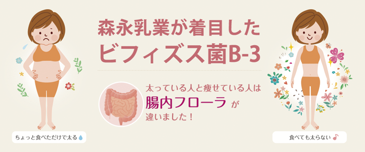 ダイエットビフィズス菌ビースリー®EX