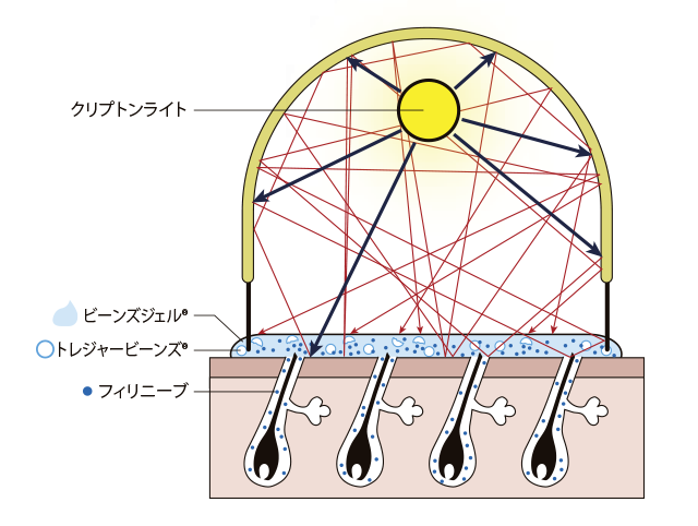 フォトンリサイクリング